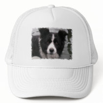 Border Collie Baseball Cap Hat