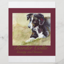 Border Collie Beauty and Brains Custom Flyer
