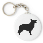 Border Collie (black)