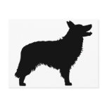 Border Collie (black) postcards