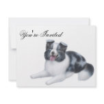 Border Collie Blue Merle Invitation
