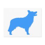 Border Collie (blue) Postcards