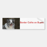 border collie bumper sticker