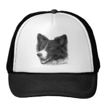 Border Collie Cap Hats