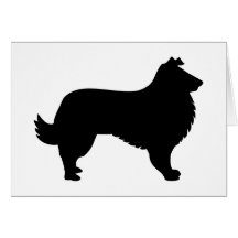 Border Collie Card
