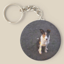 Border Collie - Dixie keychains