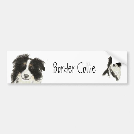 Border Collie Dog o Bumper Stickers