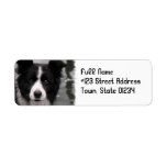 Border Collie Dog Return Address Label labels