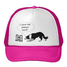 border collie em crise boné