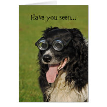 Border Collie Flocking Funny Card
