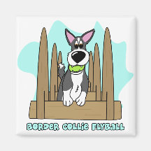 Border Collie Flyball Magnet