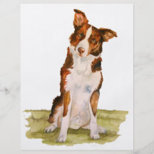 Border Collie Flyer
