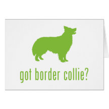 Border Collie Greeting Card