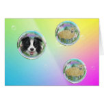 Border Collie Greeting Card