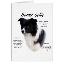 Border Collie History Design Cards
