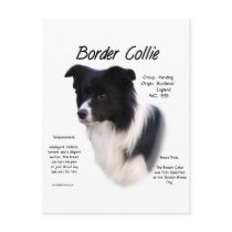 Border Collie History Design