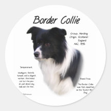 Border Collie History Design Sticker
