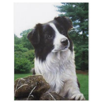 Border collie in park custom flyer