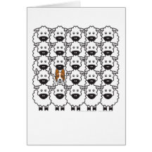 Border Collie in the Sheep Cards