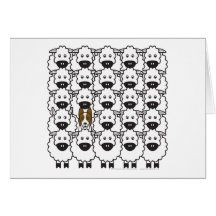 Border Collie in the Sheep Cards