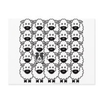Border Collie in the Sheep Post Card