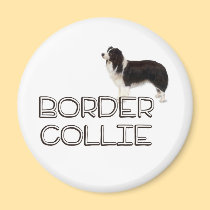 Border Collie magnets