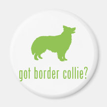 Border Collie Magnets