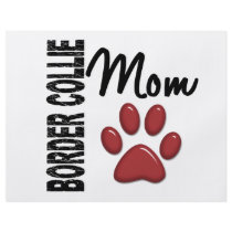 Border Collie Mom 2