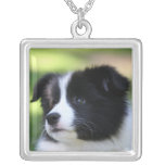 Border Collie Necklaces