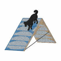 Border Collie On A Frame