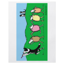 Border Collie Pied Piper Full Color Flyer