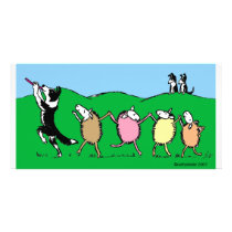 Border Collie Pied Piper Custom Photo Card