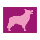 Border Collie (pink) Post Cards
