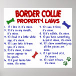 BORDER COLLIE PL2