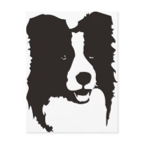 Border Collie Postcards