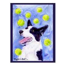 Border Collie Postcard - "Magpie's Gold"