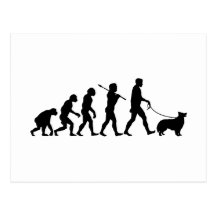 Border Collie Postcards