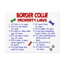BORDER COLLIE Property Laws 2