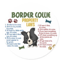 Border Collie Property Laws 4