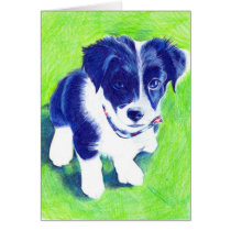 Border Collie Pup in coloured Pencil Cards