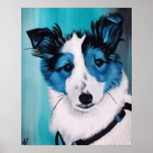 Border Collie Puppy Blues Print