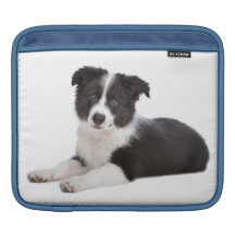 Border Collie Puppy Dog iPad Laptop Sleeve iPad Sleeve