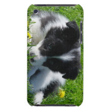 Border Collie Puppy iPod Touch Case