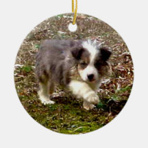 Border Collie Puppy~Ornament