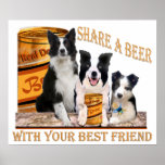 Border Collie Share A Beer Poster