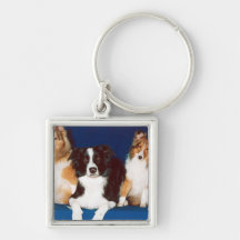 Border Collie & Shelties Key Chains
