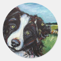 Border collie smile stickers