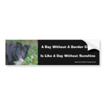 Border Collie Smiling Dog Lovers Bumper Sticker