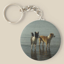 Border Collie - Tipper/Dixie at Sea keychains