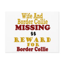 Border Collie & Wife Missing Reward For Border Col